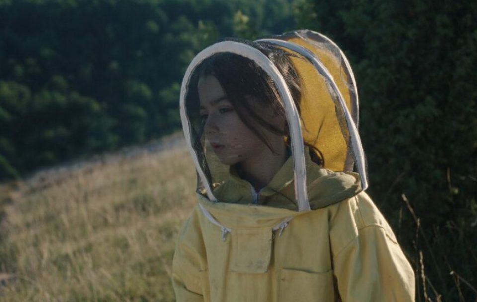 20 000 espèces d'abeilles + avant-programme 20 000 espèces d'abeilles + avant-programme